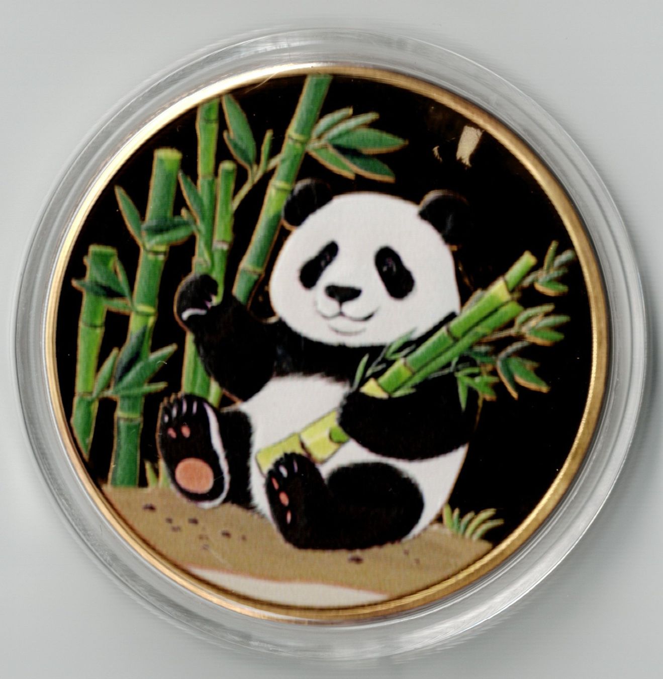 Médailles: Panda_Medaille 9 – Neuf (Voir description) à Hombrechtikon par Fraese01