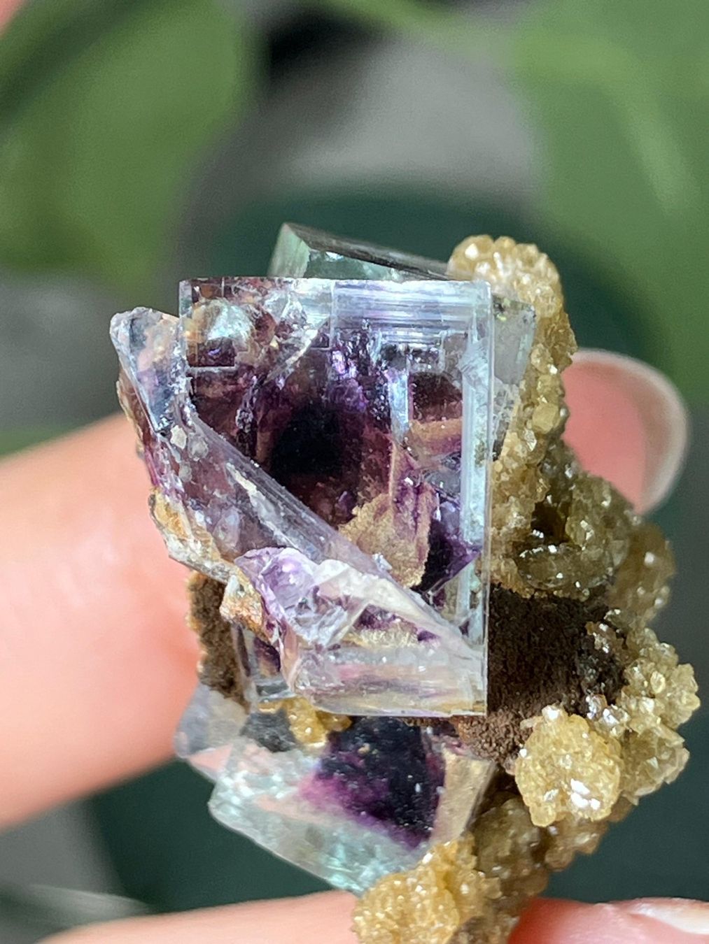 Edelsteine: Inner Mongolia Fluorit – Neu (gemäss Beschreibung) aus Neuheim von m.hald 5
