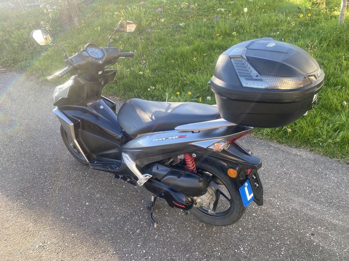 Honda Scooter: Motorroller – Usato da Leimiswil venduto da Fendt_8787 2