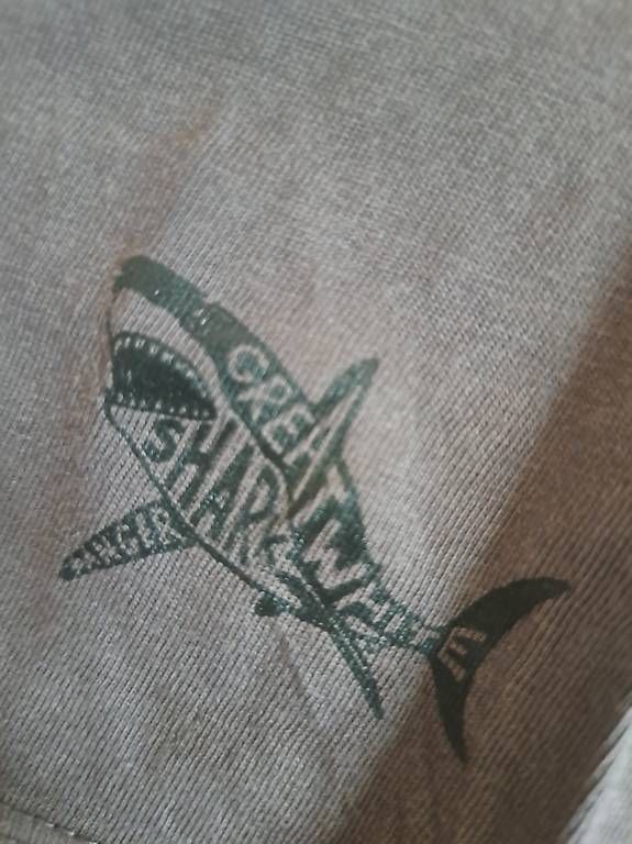 Camicie, T-shirt & Polo: T-Shirts 122 – Usato da Winterthur venduto da feehee 1