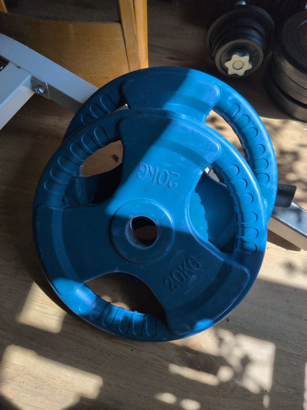 Piatti di portata: Verschiedene Gewichts Platten – Usato da Adliswil venduto da lul_5h6f