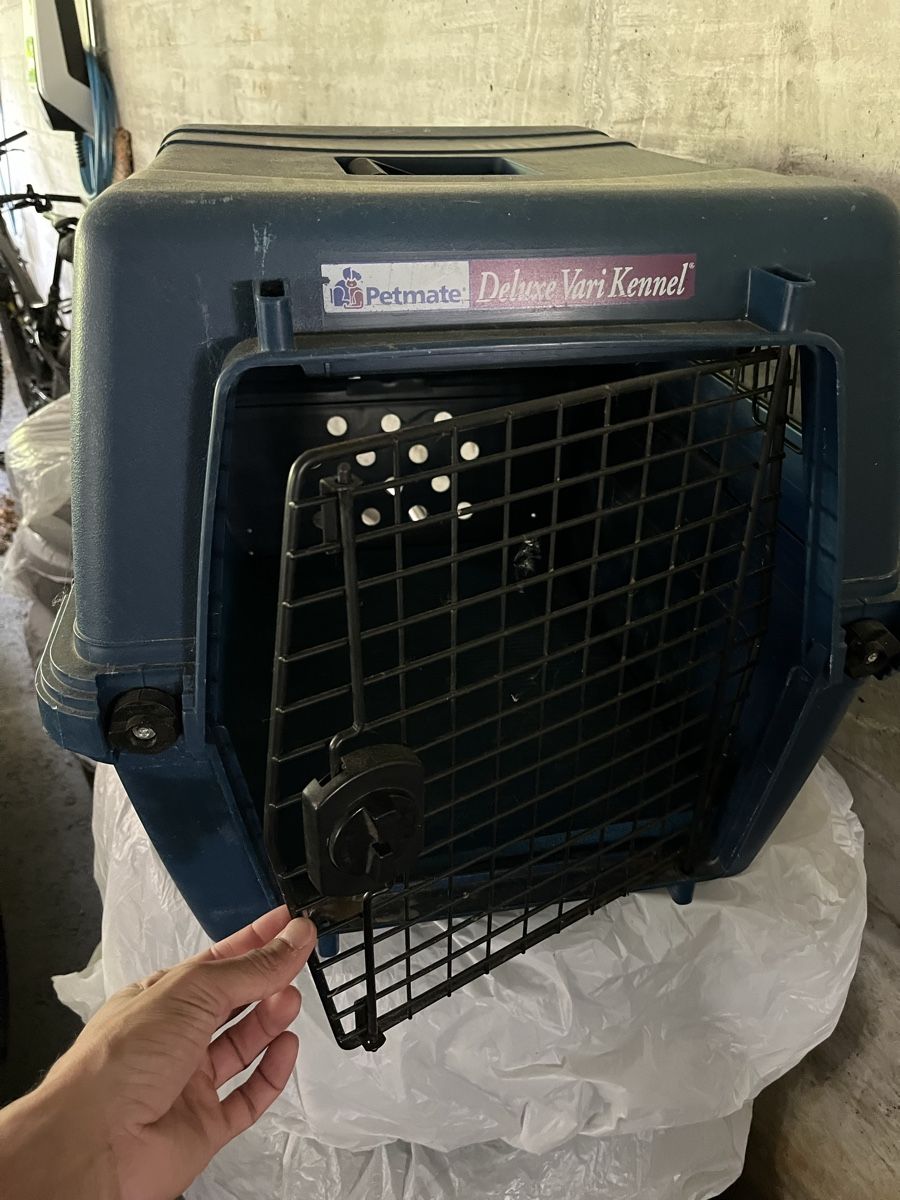 Käfige, Transport & Sicherheit: Hundetransportbox – Gebraucht aus Flamatt von Cyril.I 1