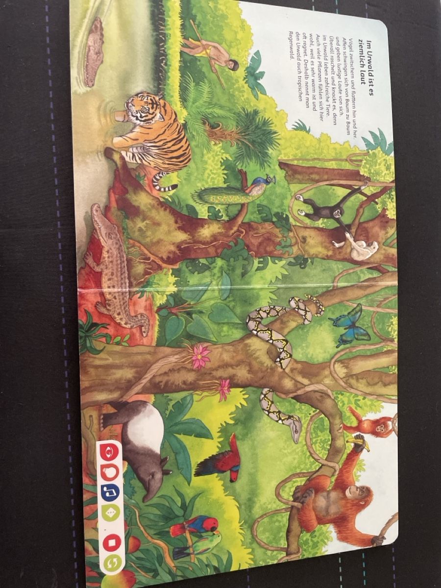 Tiptoi Giochi: Tiptoi Bilderlexikon Tiere – Nuovo (secondo la descrizione) da Illnau venduto da cla_jqf8 1