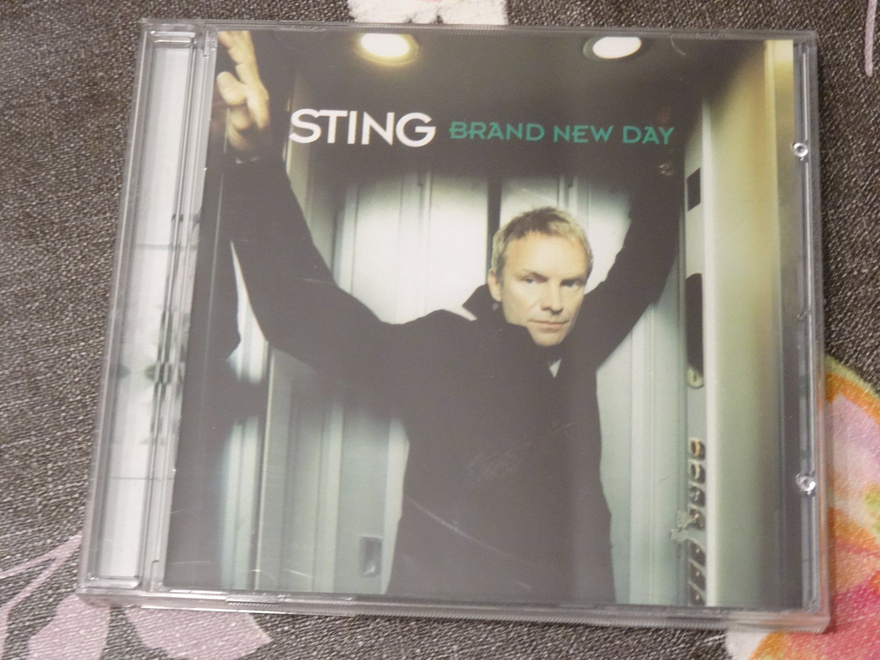 CDs: Sting - Brand New Day CD – Gebraucht aus Olten von