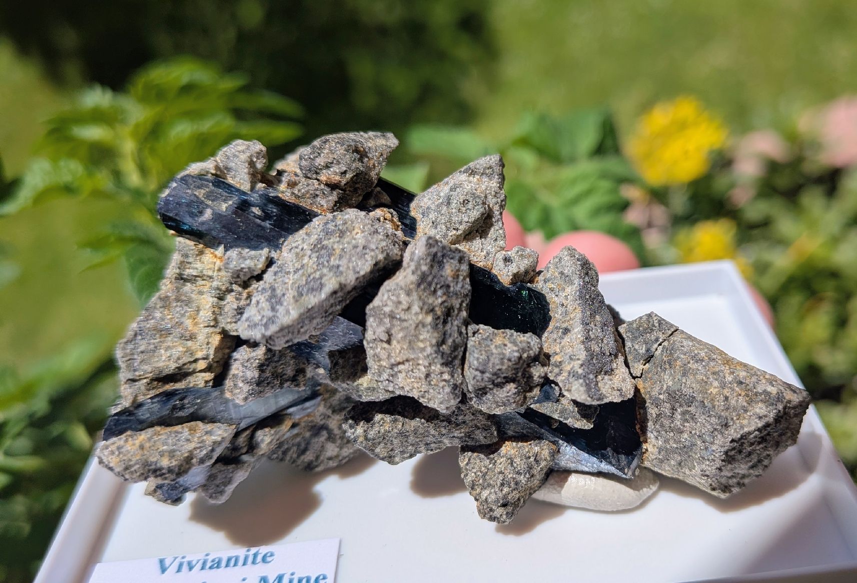 Minerali & Pietre curative: Vivianit- Stufe aus Rumänien  – Nuovo e nell'imballaggio originale da Weidling venduto da natebutz 5