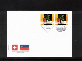 2010 FDC Liechtenstein ZNr. 1553 Kombi aus ABO