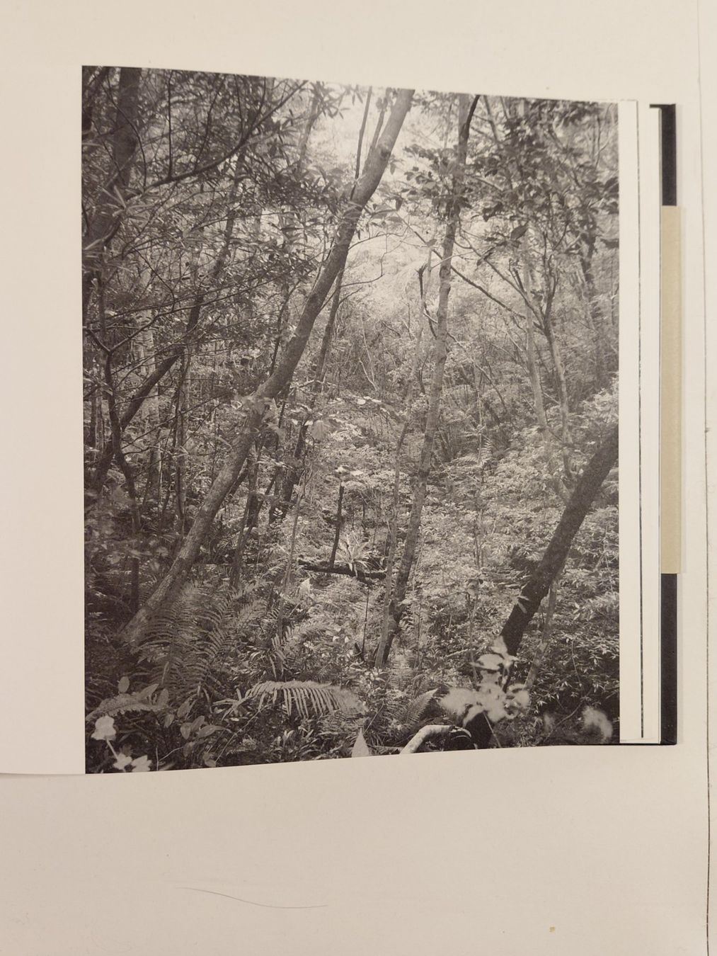 Libri: Emily Bates - The Sky Is Glowing With The Setting Sun – Usato da Winterthur venduto da SilverFR 2