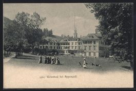 Weissbad, Partie auf Wiese, Stoff-Edelwe