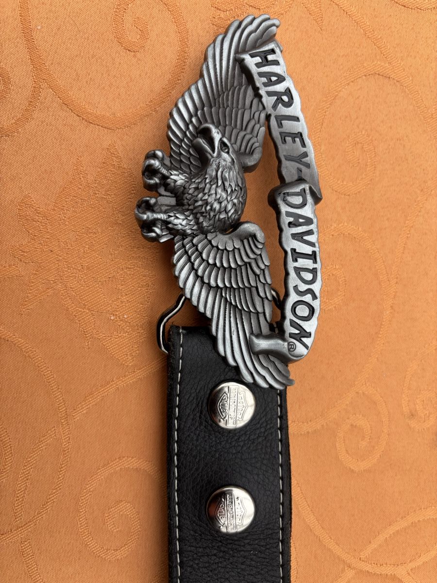 Harley-Davidson Gürtel: Harley Davidson Gürtel. Länge 110 – Gebraucht aus Felsberg von vre_yc7k 4
