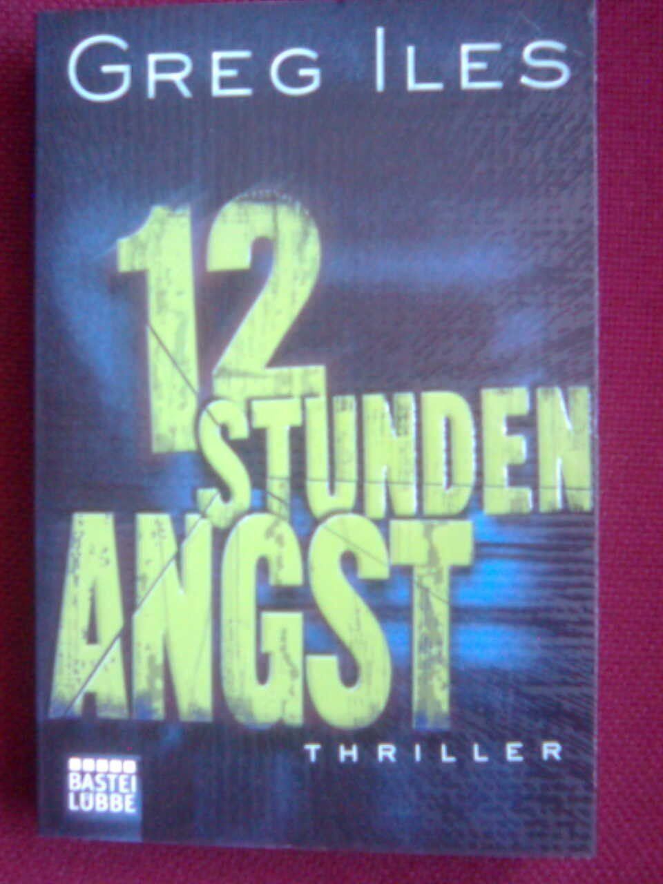 Libri: Greg Iles 12 Stunden Angst – Usato da Basel venduto da Alacant