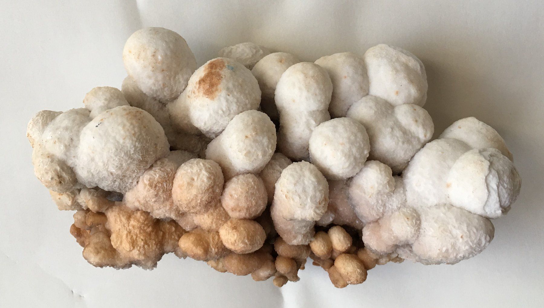 Minerali & Pietre curative: aragonite cristallisée – Usato da Vevey venduto da zabounetta 3