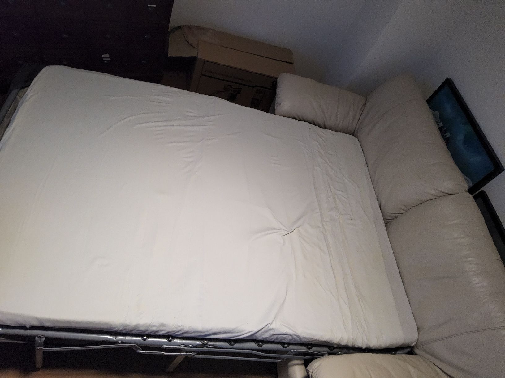 Ikea Divani: Sofa Bettsofa – Usato da Niederbipp venduto da donaldo11 1