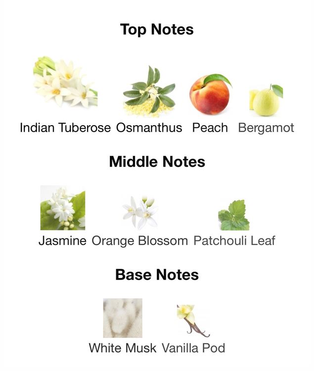 Wild Python by Mancera eau de parfum 6 ml sample | Kaufen auf Ricardo