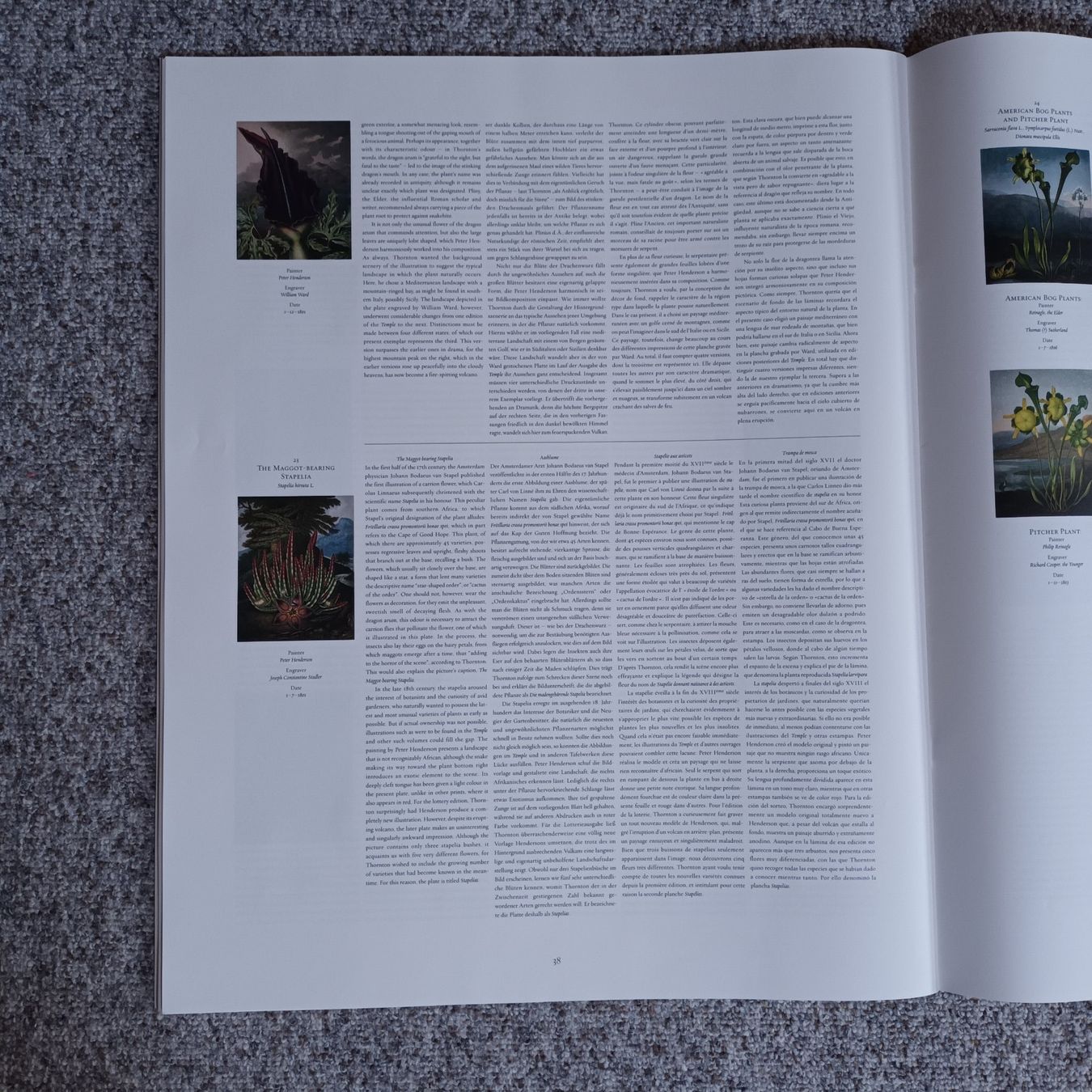 Libri: The Temple of Flora – Nuovo e nell'imballaggio originale da Bäretswil venduto da ricoric 8