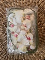 Künstliche Orchideen FagusHome 4 Stück rot-weiss neu