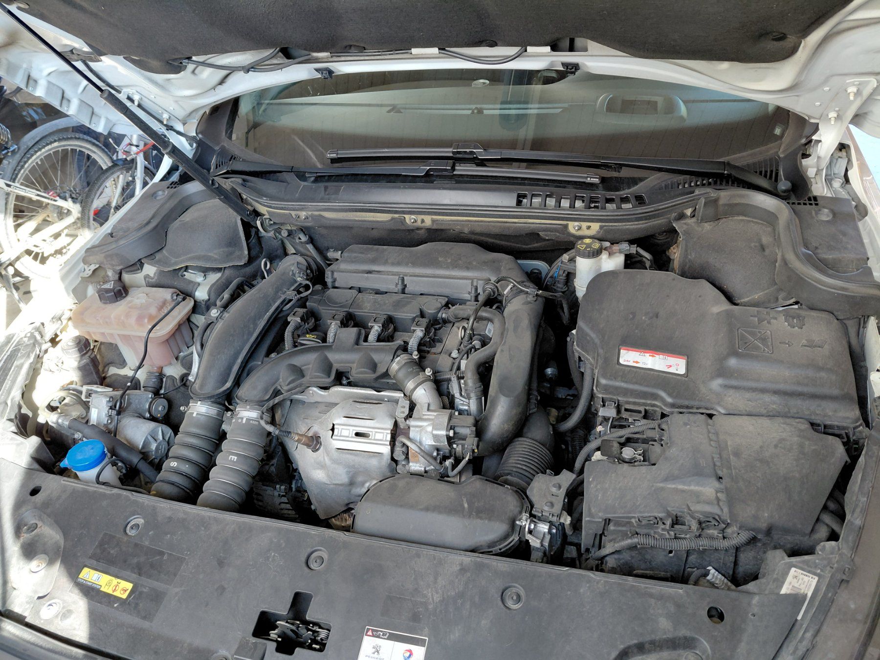 Peugeot Automobili: Peugeot 508SW 1.6 – Usato da Muolen venduto da Tschane2 7