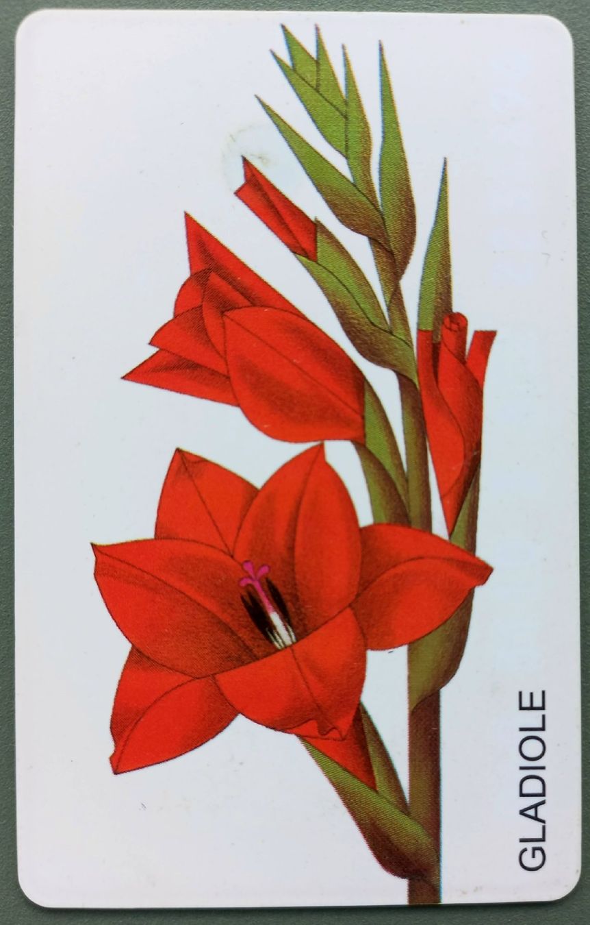 Schede telefoniche: Taxcard - Gladiole - D – Usato da Niederuzwil venduto da lubimaja
