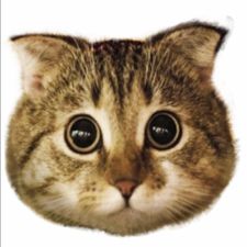 Profile image of Madame_Mau