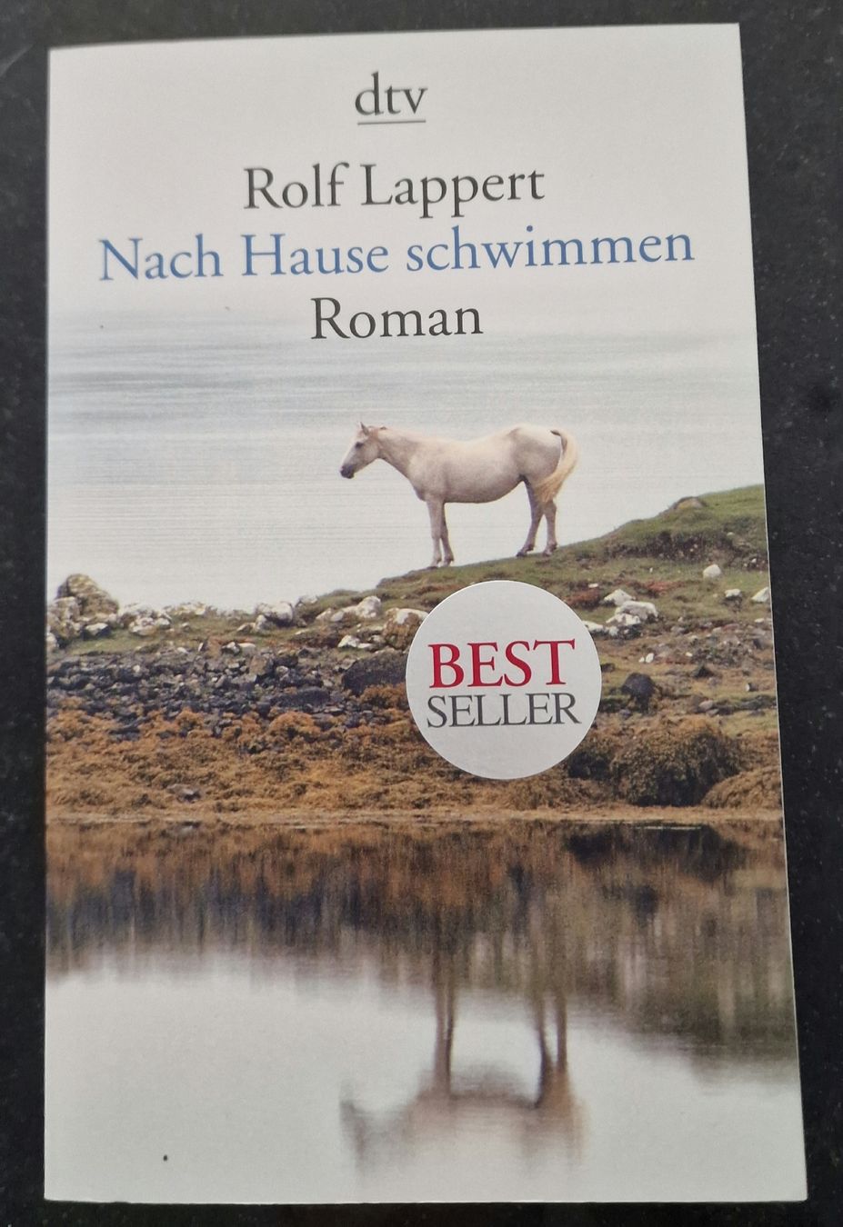 Livres: Nach Hause schwimmen - Rolf Lappert – Neuf (Voir description) à Nesselnbach par AJ_26