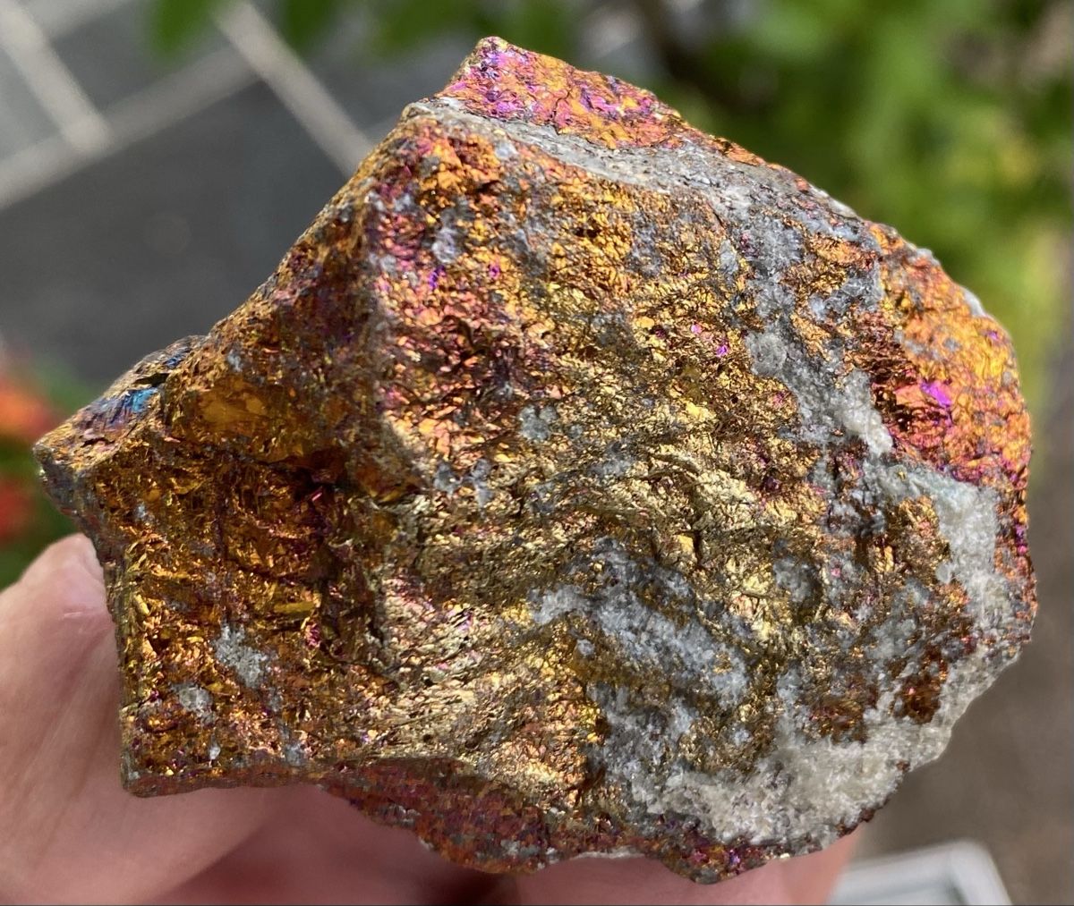 Minerali & Pietre curative: Schöner Bornit Buntkupferkies  – Usato da Selzach venduto da 321compac 3