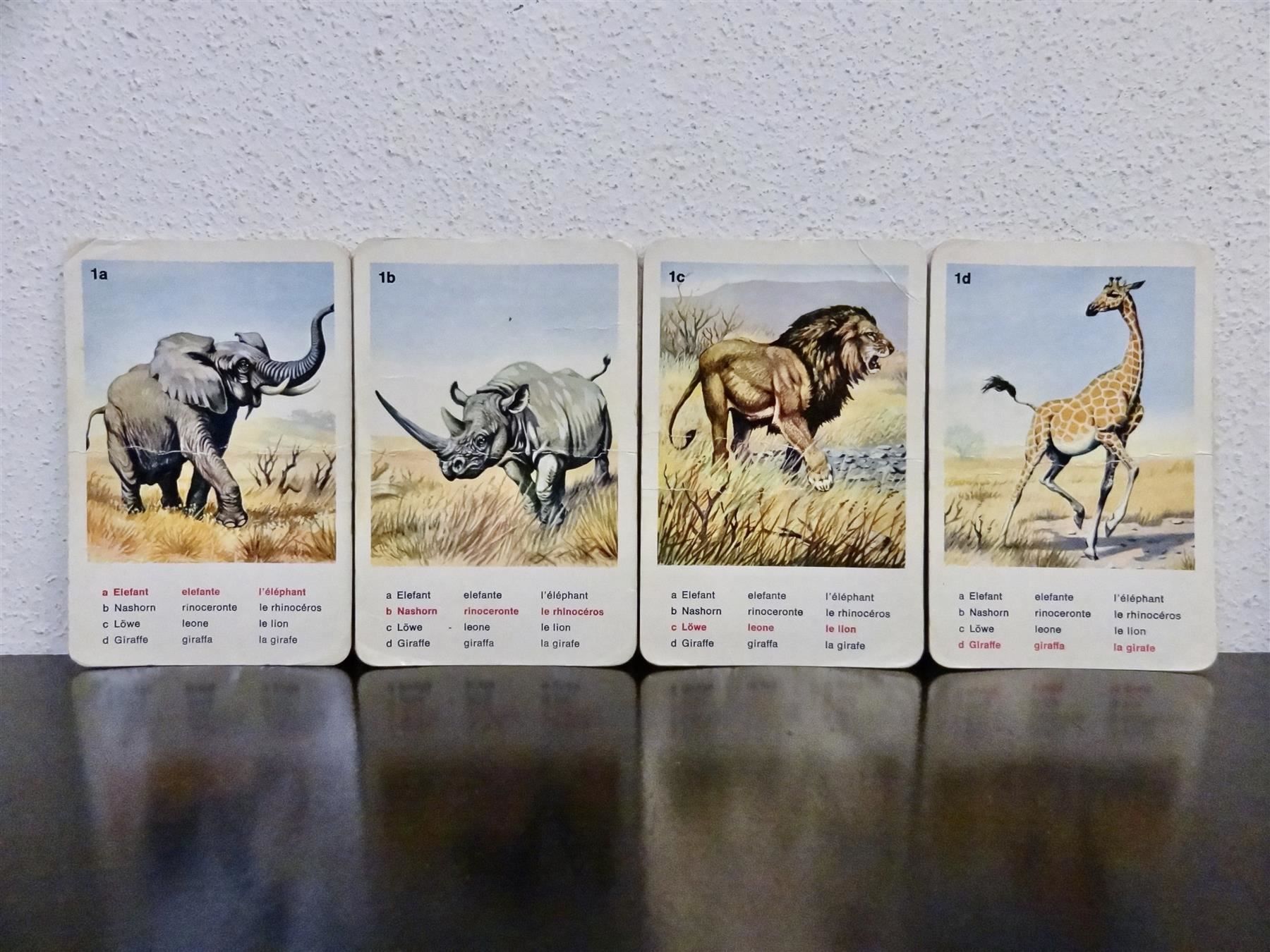 Ravensburger Spiele: schönes altes Quartett TIERWELT – Gebraucht aus Kerzers von wisaundso 3