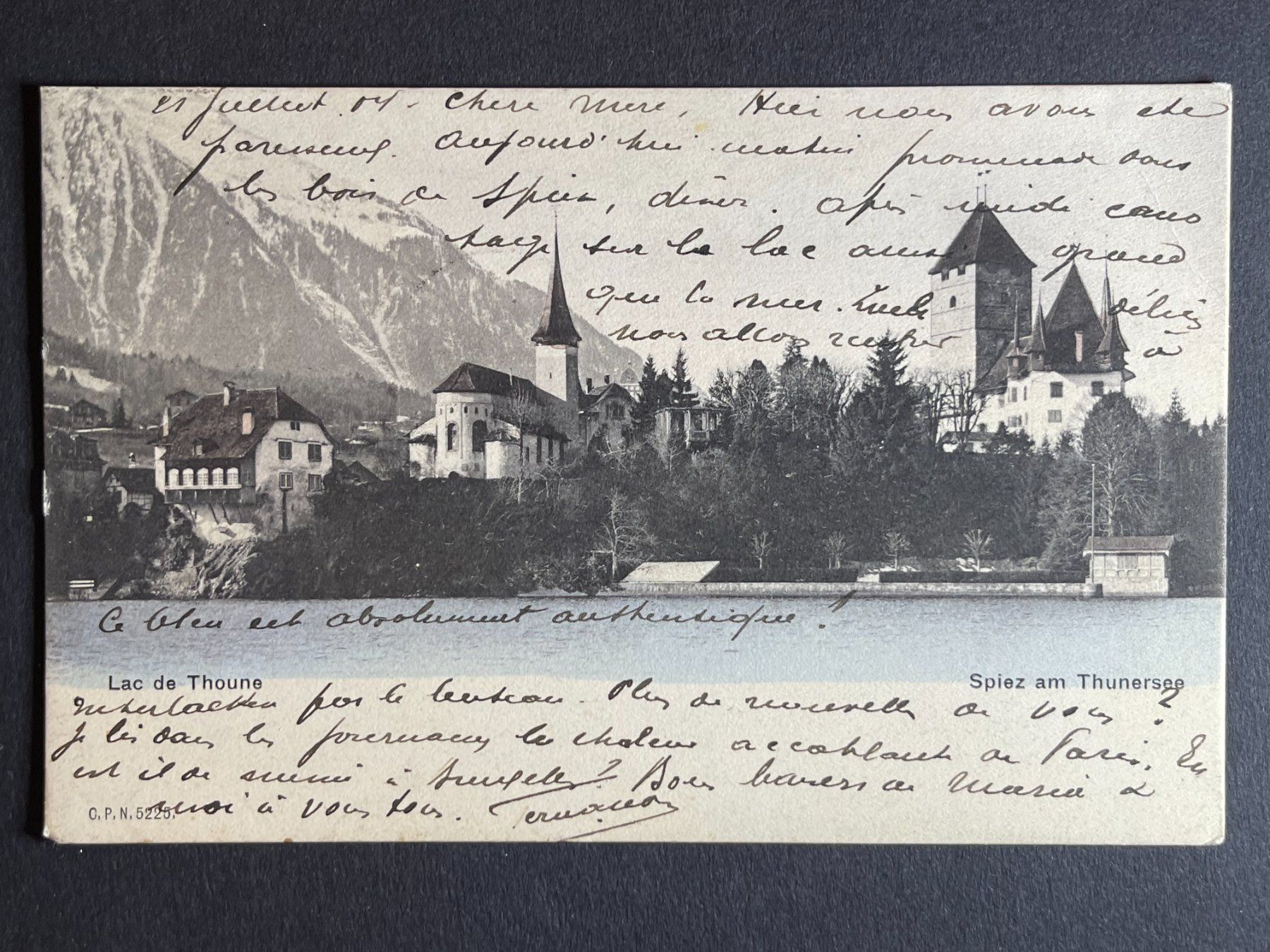 Ansichtskarten: Spiez am Thunersee - 1904 - Stempel !!! – Gebraucht aus Steg VS von _vinci_