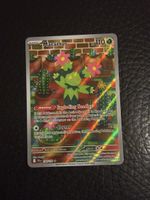 Carte Pokémon MARACTUS jtg 160