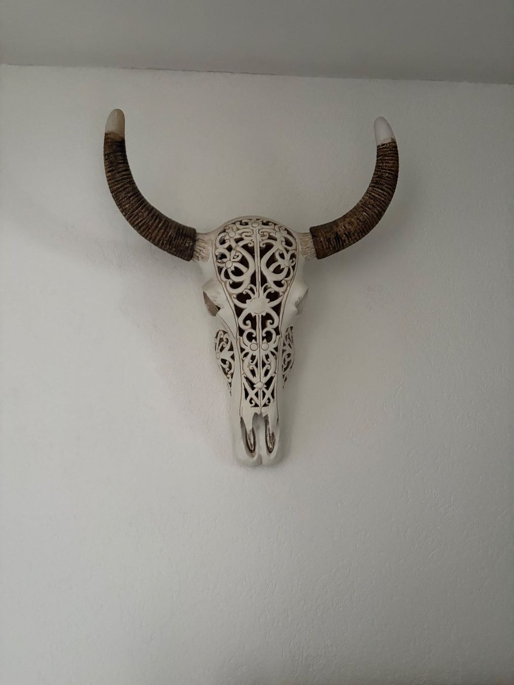 Interio Tutte le decorazioni: Deko Longhorn Schädel – Usato da Steinach venduto da Estil 1