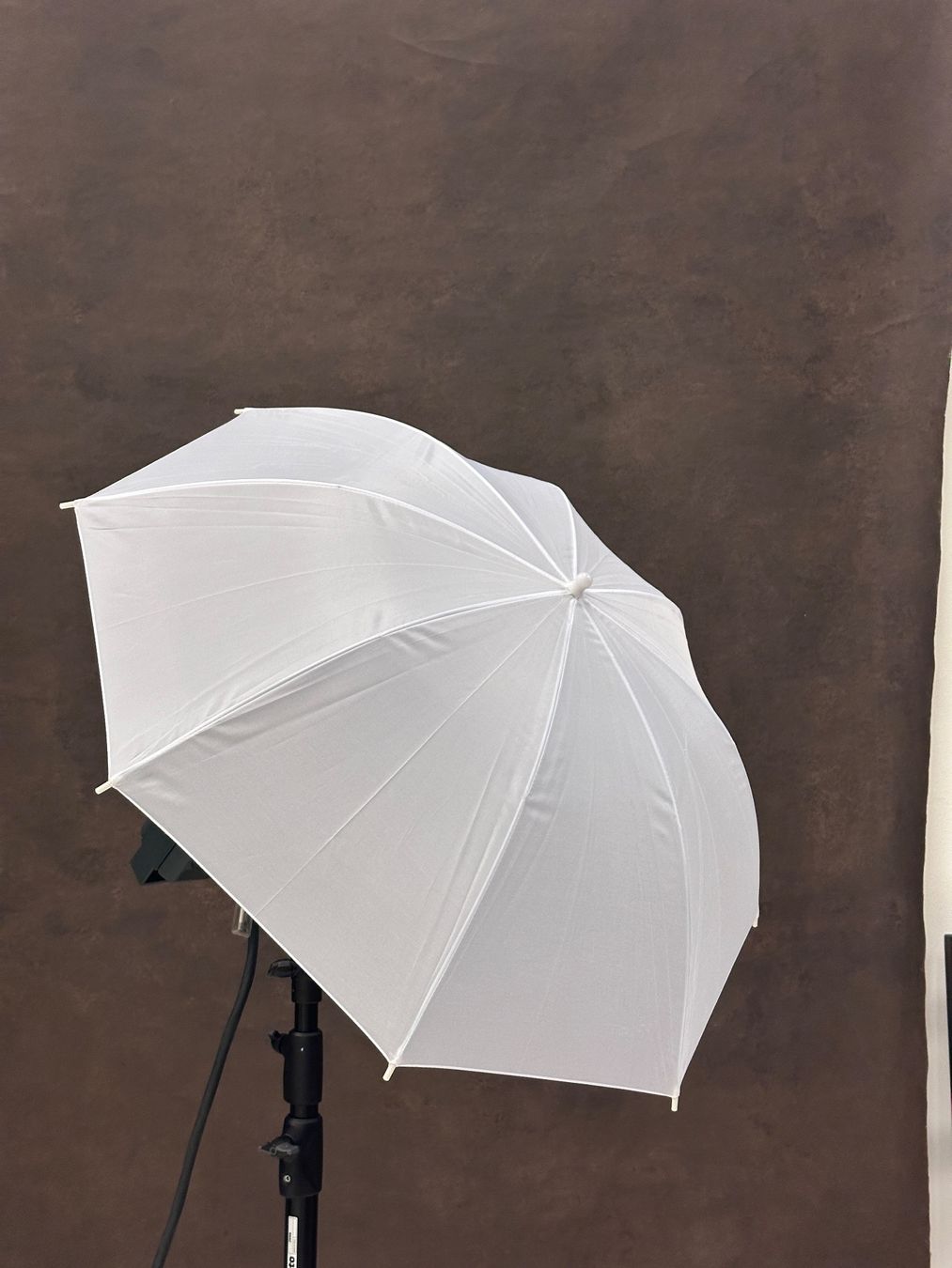 Flash: Durchlicht Schirm - 85 cm - Schirm 2 – Usato da Berg SG venduto da elcapitan02 3