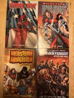 Wildstorm (“the end”)