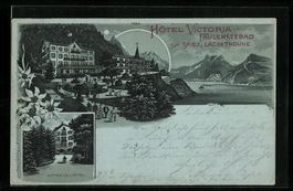 Litho Spiez, Hotel Victoria, Faulenseeba