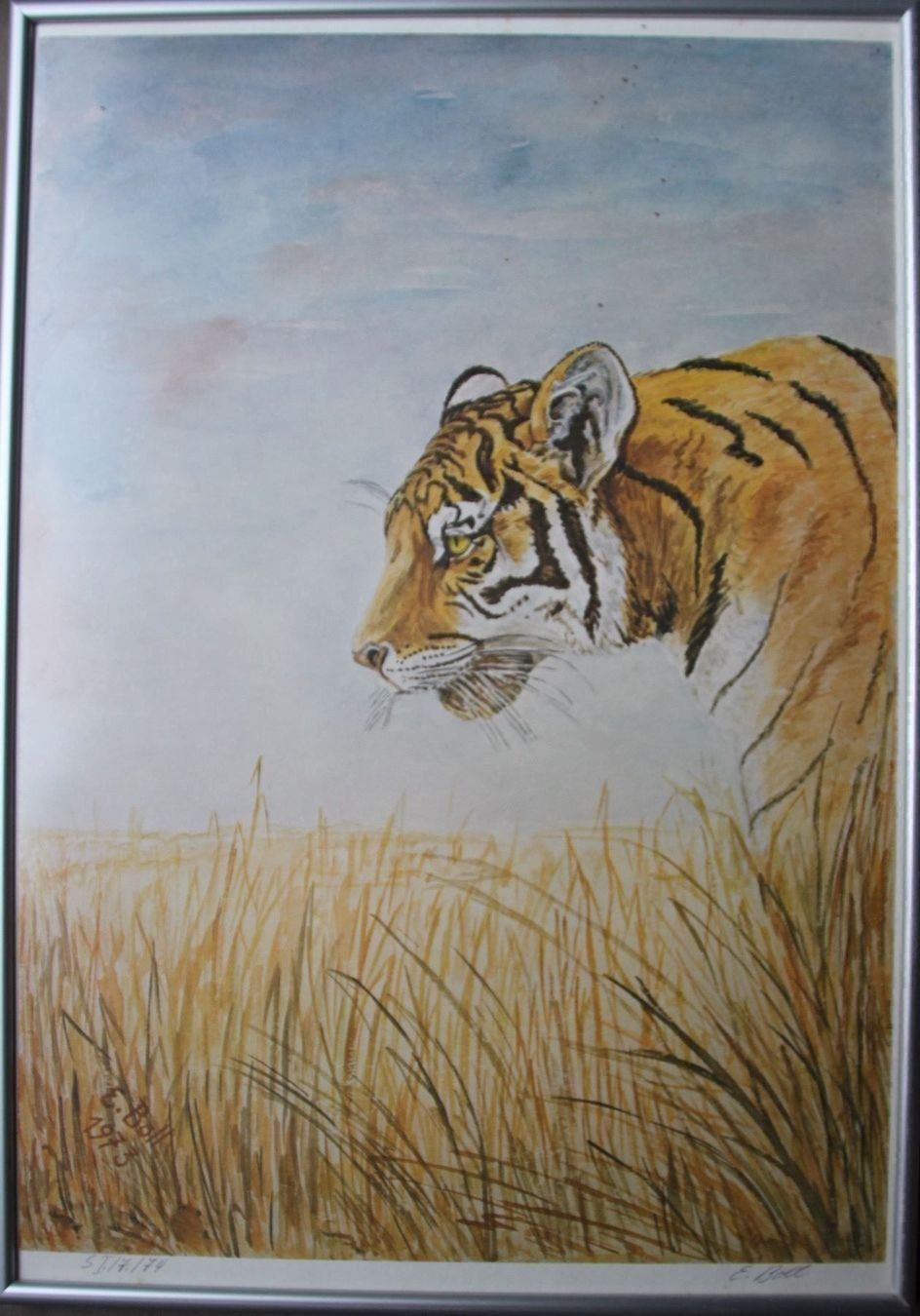 Grafica & Litografie: Tiger - Ernst Boll, Photolithografie – Usato da Hermetschwil-Staff venduto da Starbliggi 3