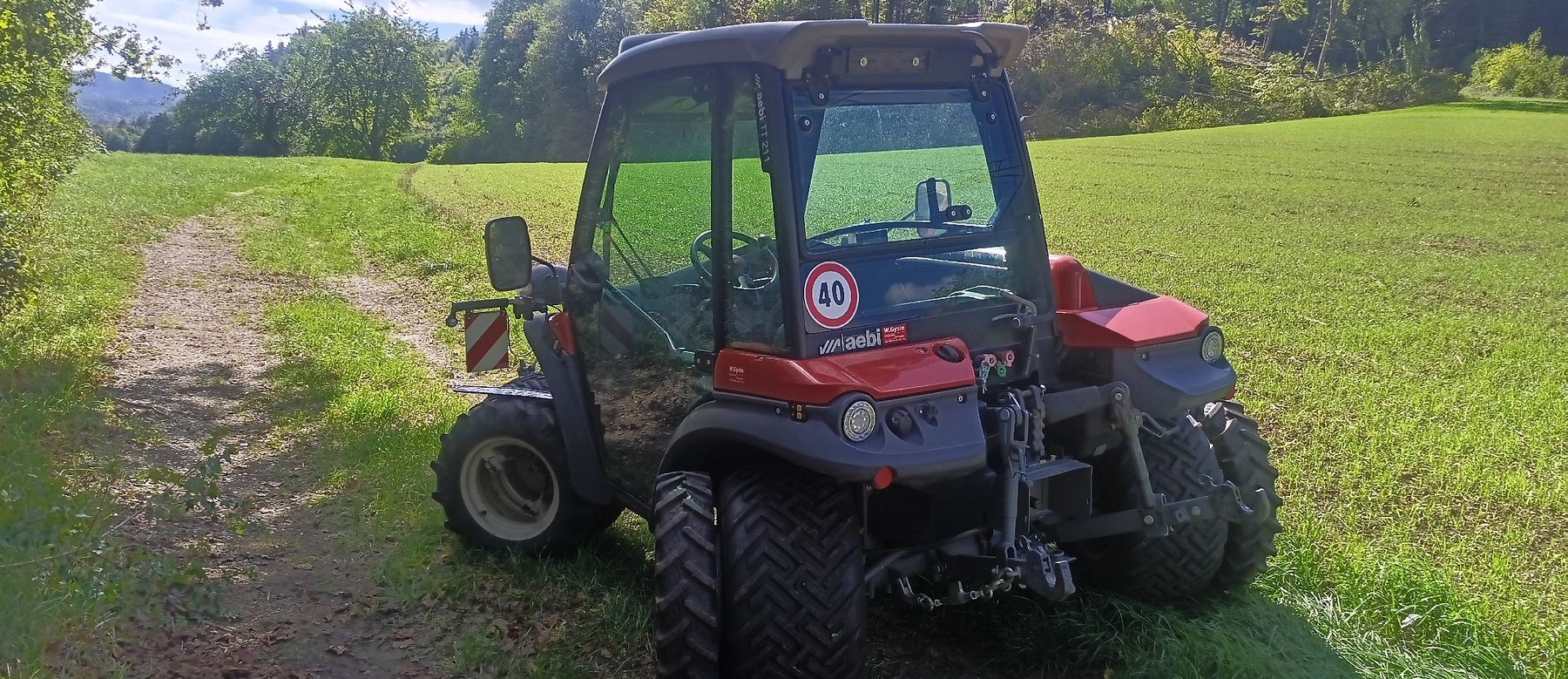 Aebi Trattori: Aebi Tt 211 Zweiachsmäher – Usato da Brislach venduto da HAMDIEPF 2