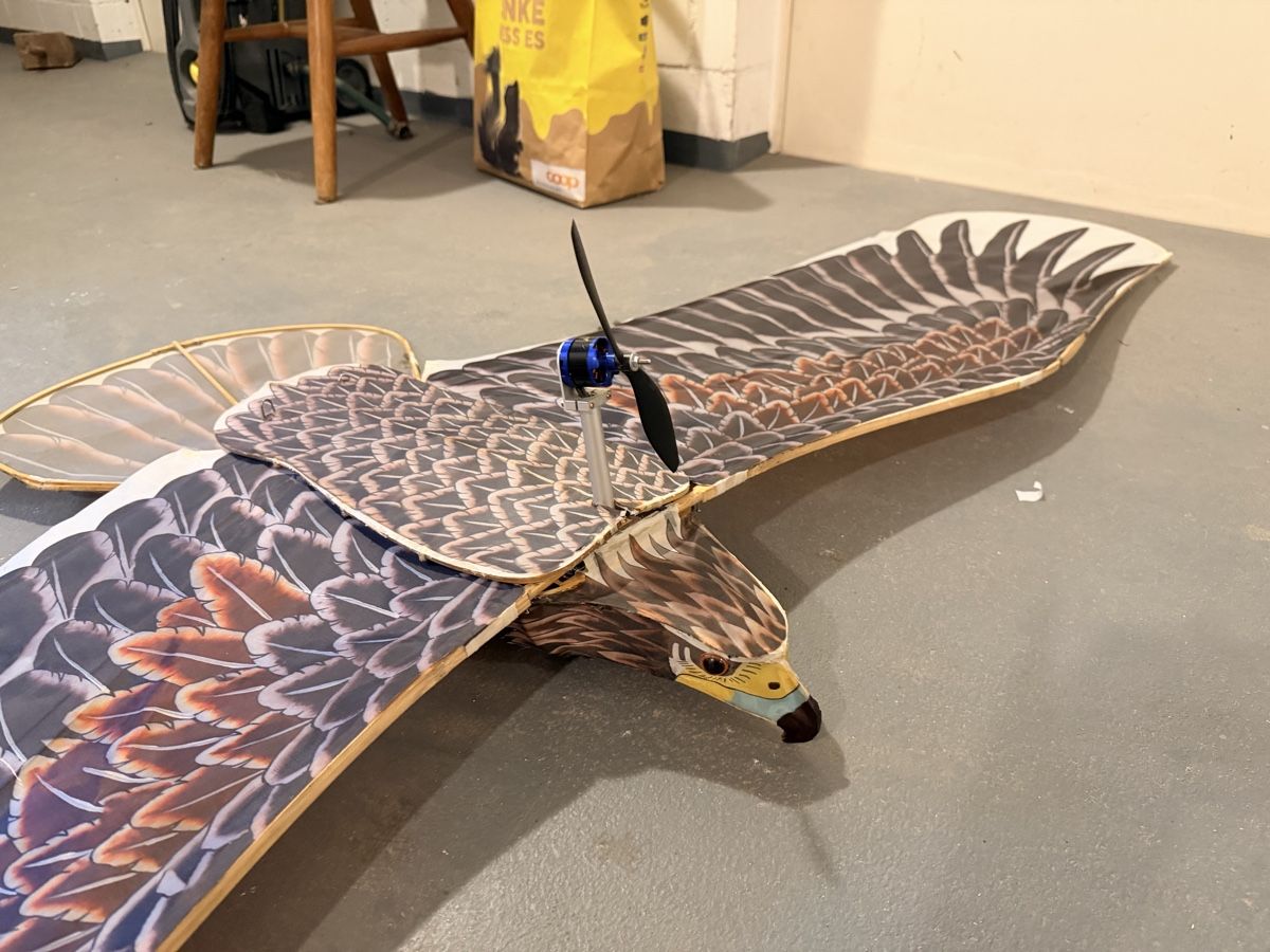 RC Modellbau: Rc Falke Modellflugzeug – Defekt aus Mühlau von Snackbitez 1