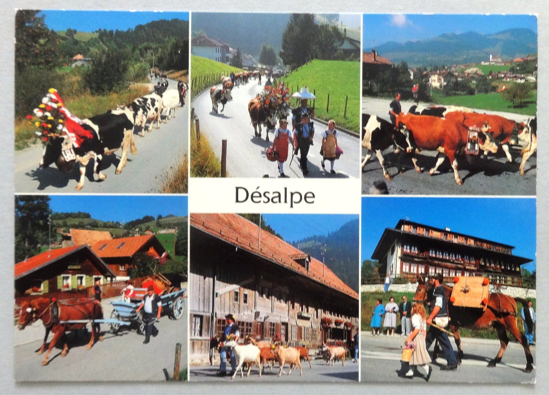Cartoline postali: Désalpe en Gruyère – Usato da Fétigny venduto da Billy2miny