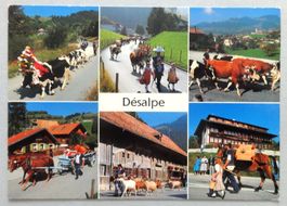 Désalpe en Gruyère