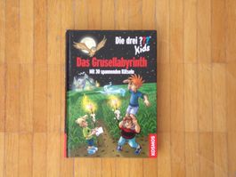 Die drei Fragezeichen Kids  Das Grusellabyrinth