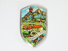 Spazierstock Stocknagel Wangs-Pizol für Wanderstock