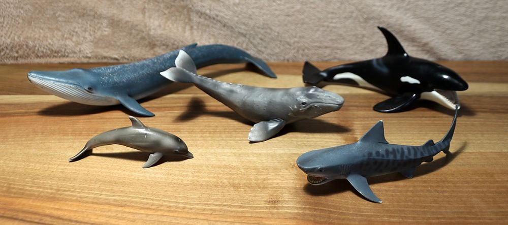 Tierfiguren von Schleich - Meerestiere - Wale - Hai - Delfin | Kaufen