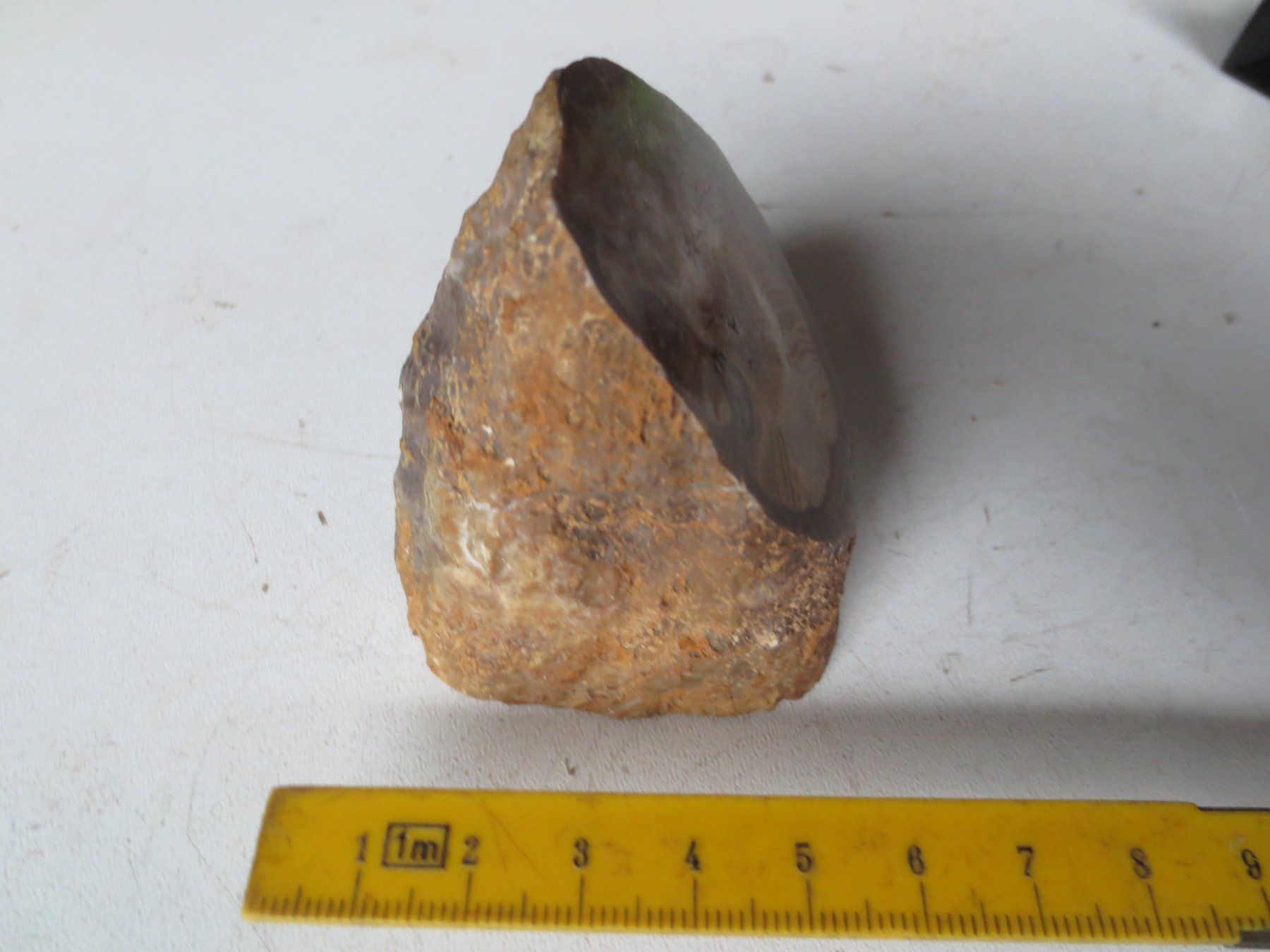 Fossilien: Versteinerung- Hippurites – Gebraucht aus Weier im Emmental von waefler03 4