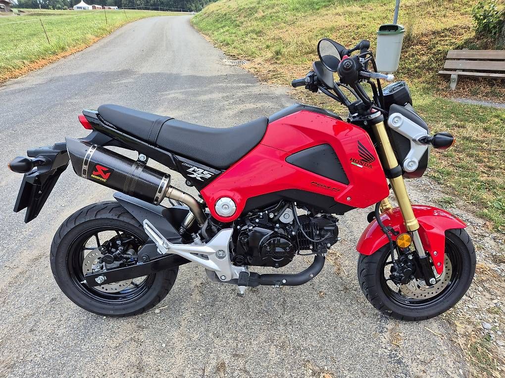 Honda Strada: Honda Grom / MSX 125 – Usato da Kreuzlingen venduto da let_nxl5