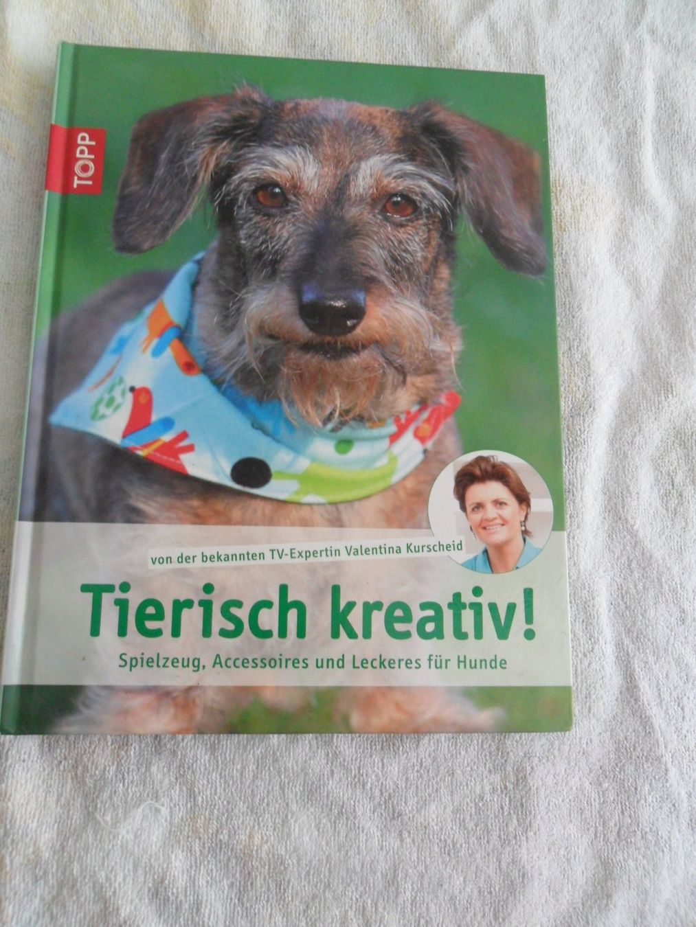 Bücher: Tierisch Kreativ! – Gebraucht aus Dübendorf von Mobu4
