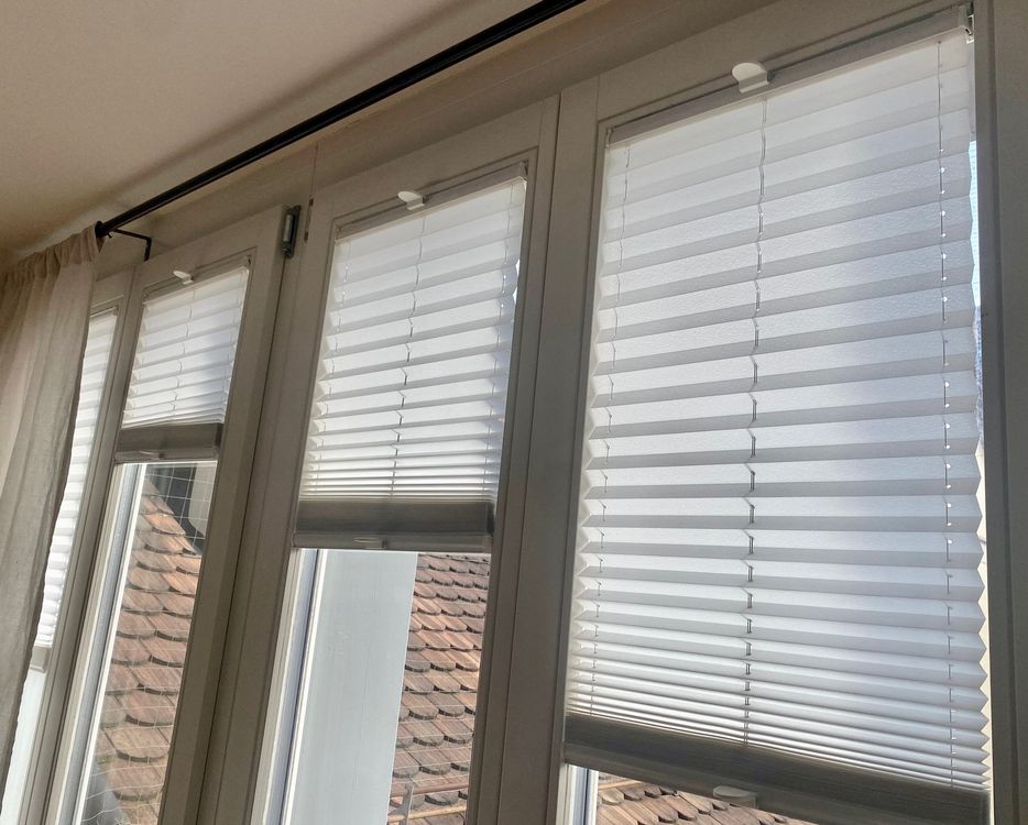 Plissee Rollos als Sichtschutz für Fenster Kaufen auf Ricardo
