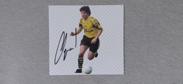 Autogramm Stephane Chapuisat