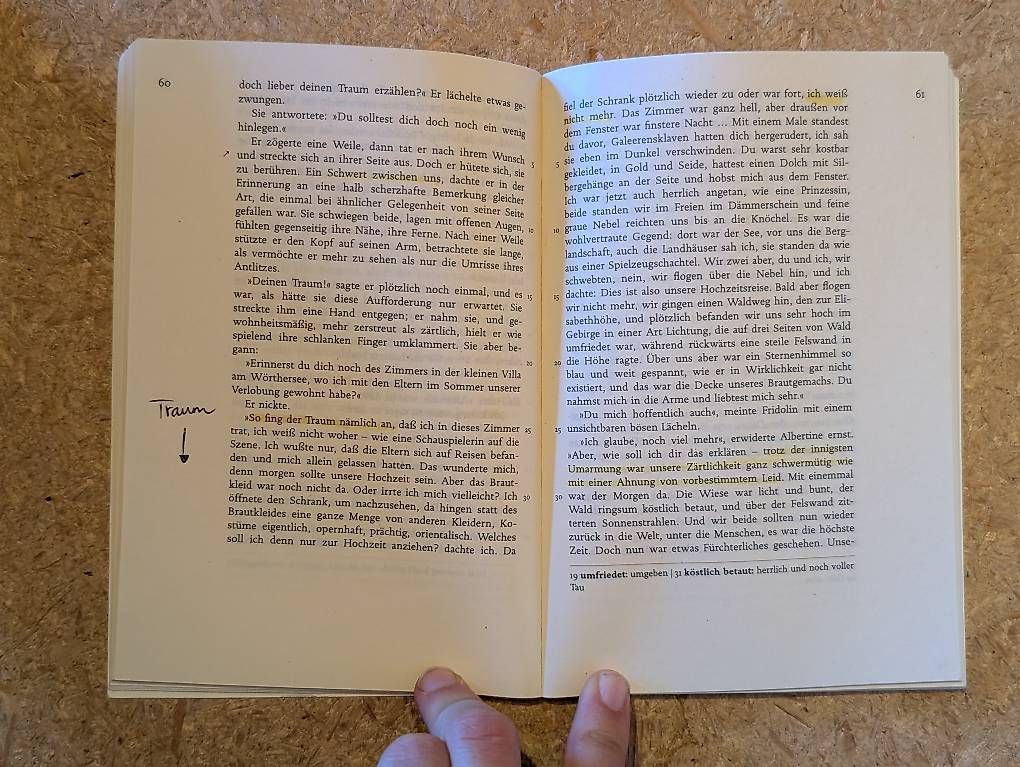 Libri: Traumnovelle, Arthur Schnitzler – Usato da Zufikon venduto da Da_Maris 1