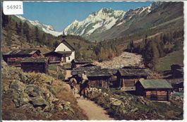 Lötschental - Kühmatt mit Schienhorn - Maultiere