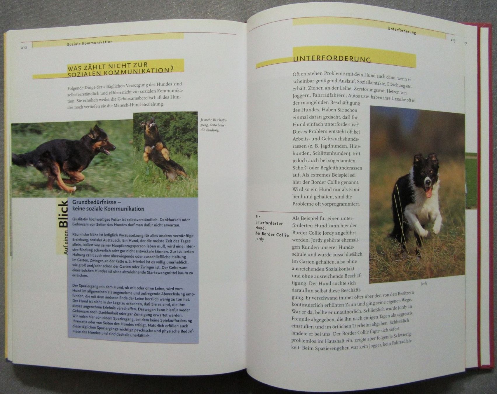 Libri: Das Kosmos Erziehungsprogramm für Hunde - sanfte Methoden – Usato da Auenstein venduto da Padabimbim 7