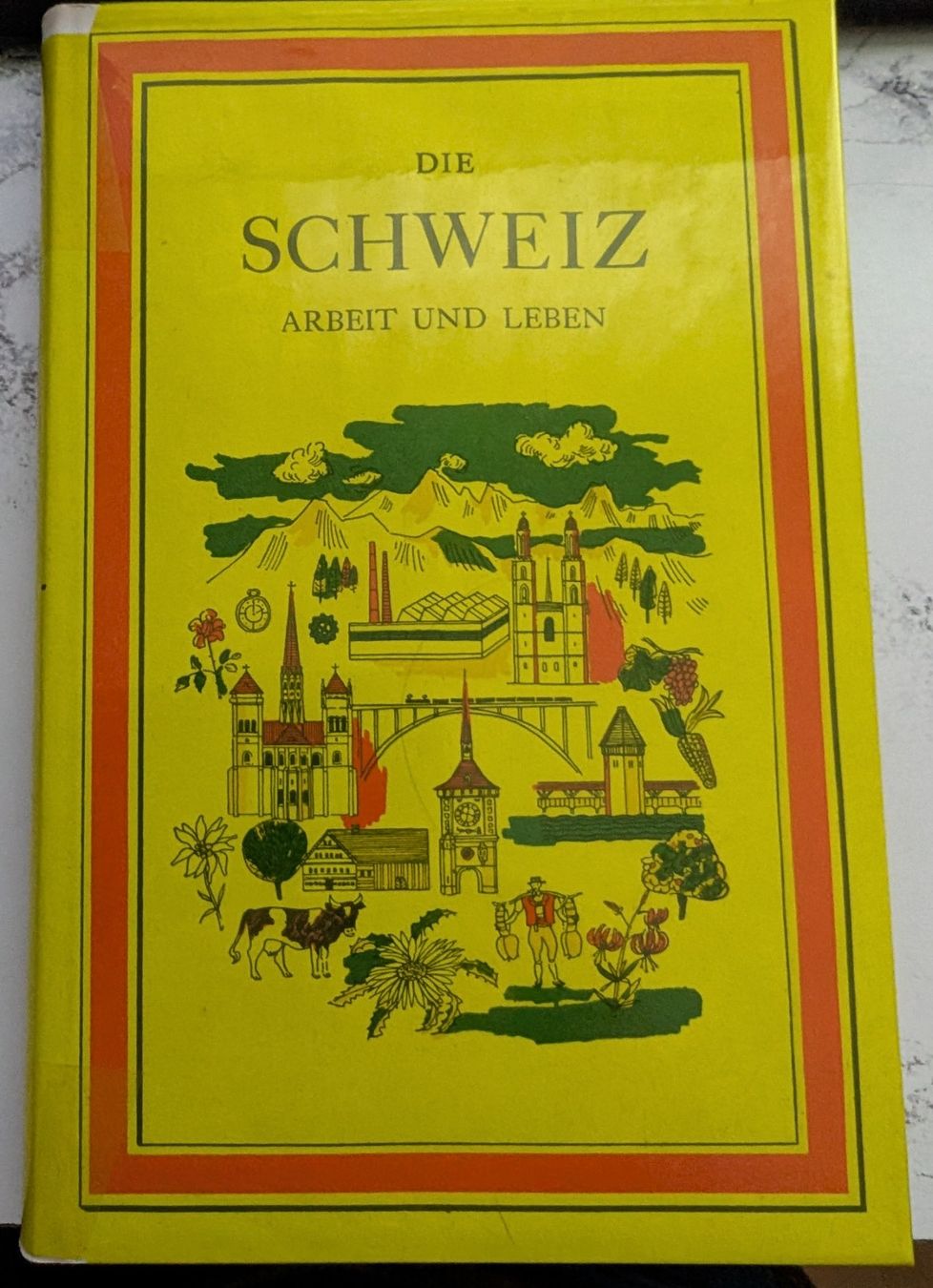 Libri: Die Schweiz, Arbeit und Leben – Usato da Eschenbach LU venduto da Holiday1