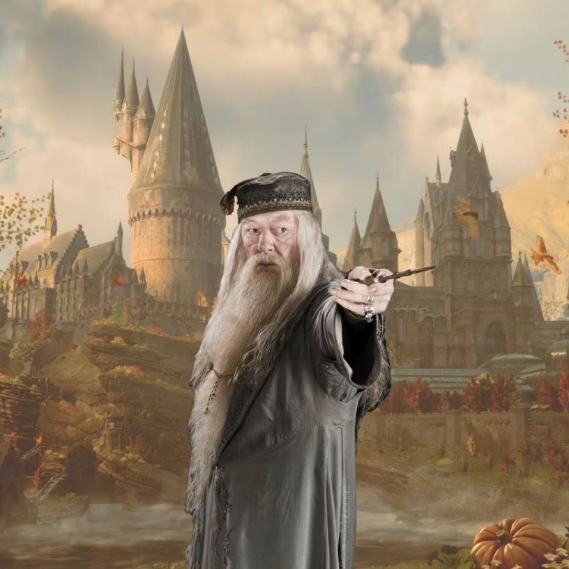 Statuette: Albus Dumbledore Zauberstab Elder Wand Noble Collection – Nuovo (secondo la descrizione) da Flawil venduto da Goliath23 2