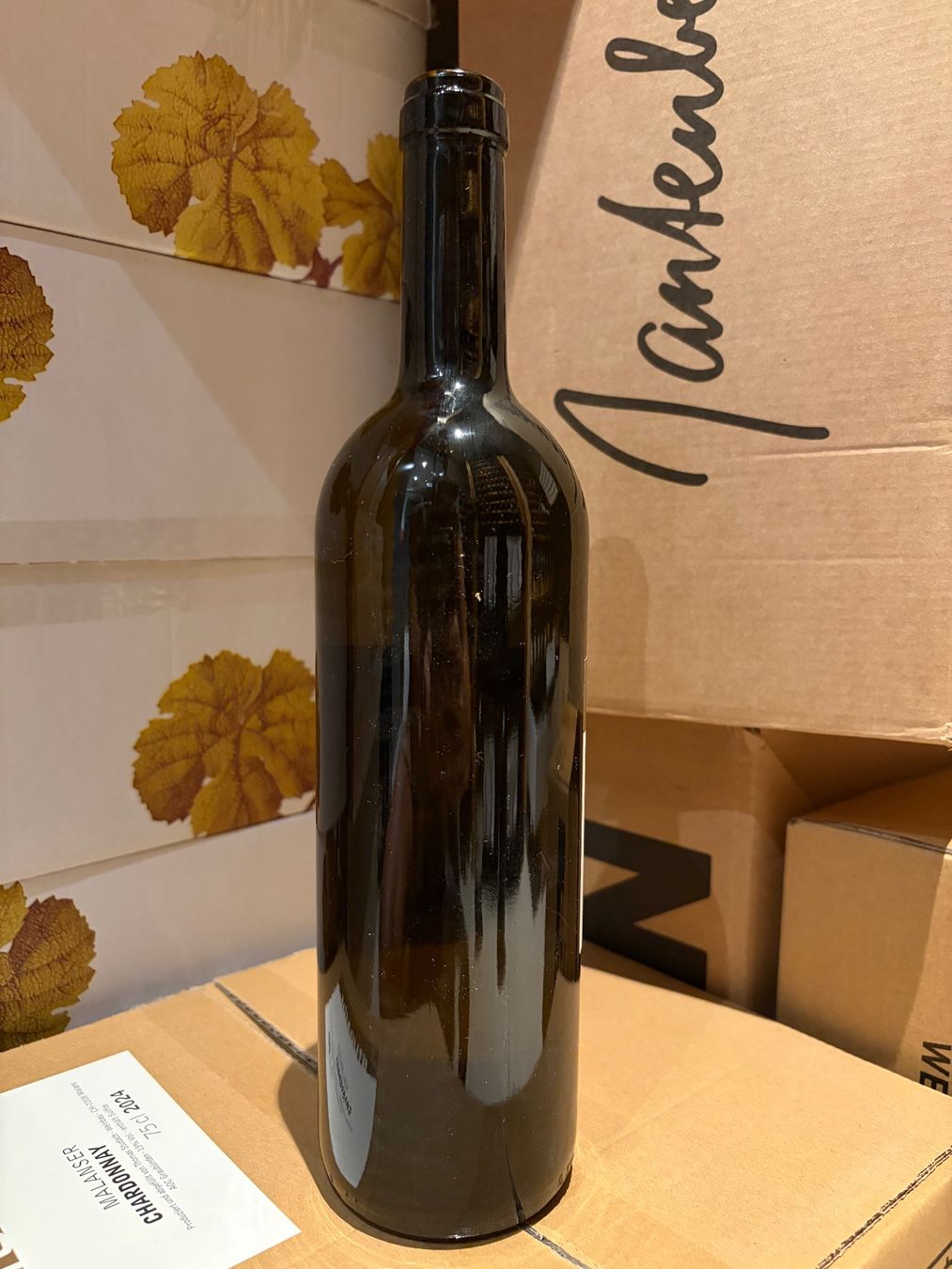 Studach Vins: Thomas Studach Completer 2021 – Neuf avec emballage d'origine à Liestal par Rockthat 3